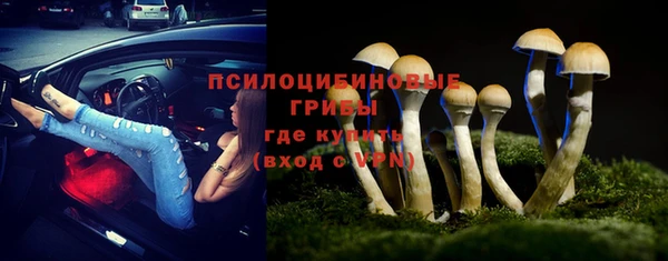 прущий лед Пересвет
