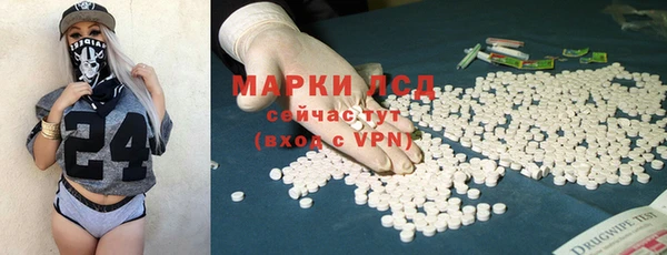 прущий лед Пересвет